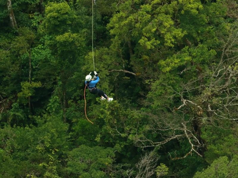 Monteverde Mega Tarzan Swing Experience