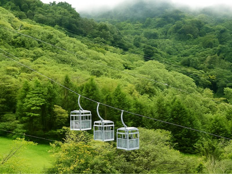 Sky Walk, Sky Tram & Sky Trek Zipline in Monteverde