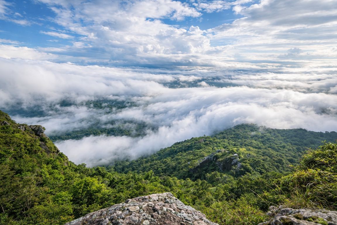 Dramatic cloud-covered rainforest landscape in Monteverde Cloud Forest captured during a tour with Monteverde Cloud Forest Tours